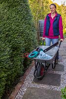 Step by Step -  Maintaining a Privet hedge