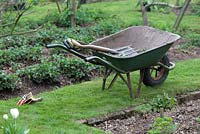 Wheelbarrow in the vegetable garden at the Dower House