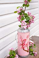 Cherry blossom displayed in oriental decorative flask