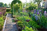 The vegetable patches next to a gravelled path in this country garden are edged with corten steel, a wrought iron fence and tin buckets on poles add an antique touch. Plants include Iris germanica  Rumex sanguineus Rumex and salad vegetables