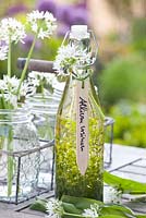 Allium Ursinum in glass bottle vase