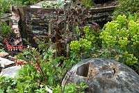 Euphorbia, Dicentra and other perennial plants beside old wooden block and derelict boat in a garden being reclaimed by nature - 'Boathouse No.9' Show Garden, Silver Gilt Award, Malvern Spring Show 2013