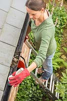 Woman clearing debris from gutters