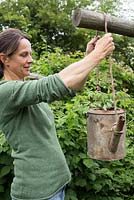 Step by step -  Planting tomato 'Tumbling Tom' in an old metal watering can