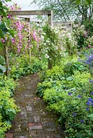 The Rose Walk leads from the house to the kitchen garden, with roses including 'Rambling Rector' and 'Seven Sisters', and clematis including 'Belle of Woking' and 'Madame Edouard Andre' with frothy Alchemilla mollis below. Ashley Farm, Stansbatch, Herefordshire, UK