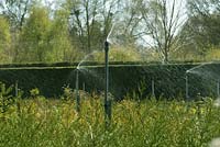 Irrigation watering