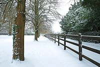 Boundary fence and trees with snow.