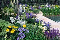 Blue white and yellow border with Delphinium, Agapanthus, Digitalis, RHS Tatton Park Flower show
