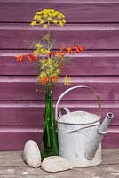 Vase of Dill and Crocosmia beside Wendyhouse