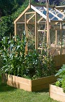 Greenhouse with vegetable beds in summer