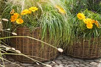 Woven containers planted with Gazania 'Sunbathers Nahui', Stipa tenuissima, Miscanthus Malepartus. The QEF Garden For Joy. 