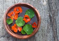 Mini water feature - nasturtium flowers and leaves floating in terracotta saucer