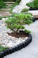 Japanese style garden with Pinus in borders with bark mulch and decorative cobbles edged with wooden roll and stepping stone path with ground cover of Ophiopogon japonicus 'Nana' in 'Reflections of Japan'. Gold medal winner at RHS Tatton Flower Show 2013