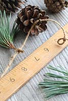 Step by step of making a simple, rustic Christmas garland with fir cones and pine needles - Simply start tying in fir cones and pine needle springs, alternating every two inches, using a ruler as a guide. Simply tie a loop first, offer in the fir cones and sprigs, then pull tight