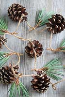 Step by step of making a simple, rustic Christmas garland with fir cones and pine needles - Detail of the finished garland