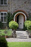 The Dower House Garden at Morville.  Citrus tree standards on gravel path by herb beds next to front door.