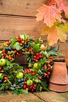 A homemade mixed foraged wreath with wild apples, Sloes - Prunus spinosa, Oak acorns and rose hips
