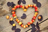 Heart shaped wreath made from crab apples and Cotinus leaves. 