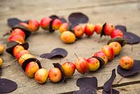 Heart shaped wreath made from crab apples and Cotinus leaves. 