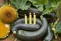 Display of Marrows used as candle holders.