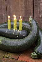 Display of Marrows used as candle holders.