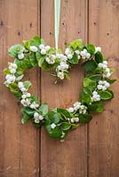 Heart wreath of Symphoricarpos - Snowberry.