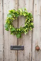 Hop wreath hanging on door