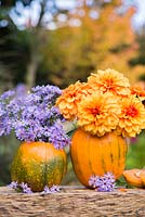 Using Pumpkin 'Jack O'Lantern' as a flower container. Flowers used are Dahlia 'David Howard' and Asters