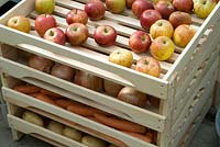 Apple and vegetable storage unit