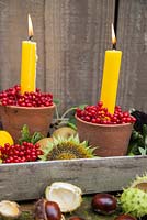 Terracotta pot candle holders with Viburnum opulus, Gourds and Horse Chestnut seeds (Aesculus hippocastanum)