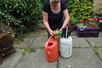 Using chemical weedkiller on patio weeds