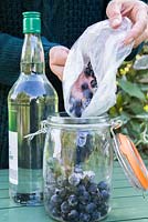 Pouring frozen sloes into a glass jar