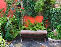 Small town garden with wooden bench, ferns and slate tiled floor. 