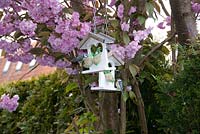 Bird feeders with blue tits