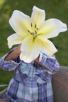Child holding flower - Lilium 'Big Brother'
