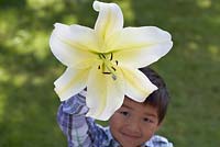 Child holding flower - Lilium 'Big Brother'
