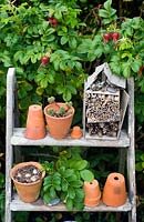 Insect hotel and terracotta pots on steps