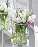 Tulipa 'Gwen' in decorative hanging vases 