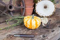Pumpkin, tools and materials for making bird feeder 