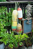 Collection of vintage containers fishing floats and a washboard by wooden fence in corner of cottage garden with Rosa, Auricula and Thymus