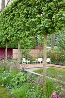 The Brewin Dolphin Garden - contemporary garden with seats and row of pleached Acer campestre 
