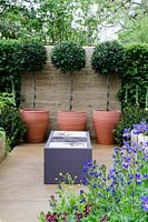 Terracotta pots with clipped Bay trees, bespoke steel and stone cooking box, plants include Iris sibirica and Anchusa 'Loddon Royalist' 