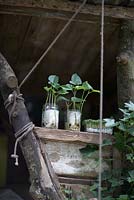 Seedlings taking root in clear containers in the treehouse -  What will we leave - NSPCC Garden of Magical Childhood.  