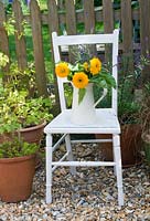 Sunflowers in jug on painted chair in garden
