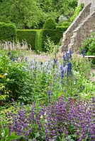 Border planted with purple salvia, aconites and lysimachia, with farmhouse behind. 