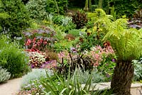 Beautifully composed informal double border of exotic tropical late summer bulbs and perennials 