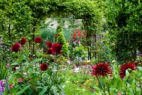 Colourful borders with dahlias and arbour in background