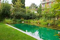 Natural swimming pool in urban garden