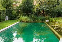 Natural swimming pool 