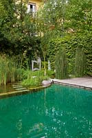 Natural swimming pool and pond in urban garden
